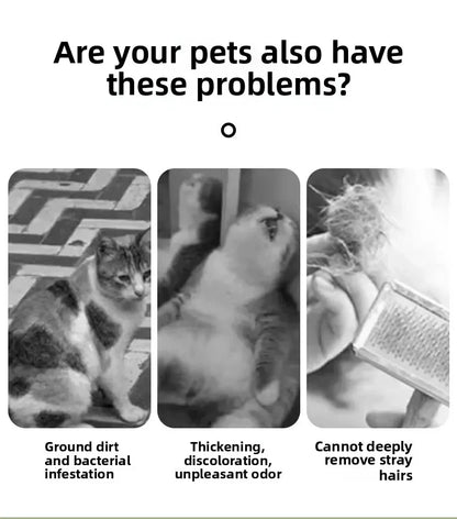 Czesanie bez stresu – parowa rewolucja dla pupila